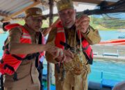 Gubernur Mahyeldi Bersama Bupati Hendrajoni Tinjau Usaha Budidaya Lobster di Pantai Sungai Bungin Pessel