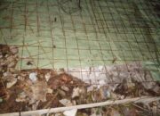 Penataan SOR Mangunjaya Tamsel Diduga Kuat Jadi Bancakan Oknum Kontraktor Nakal