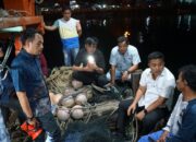 Peringatan Keras: Laut Sumbar Bukan Lagi Tempat Main Nelayan Pukat Harimau!