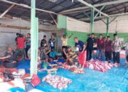 Meriah dan Khidmat, Prosesi Penyembelihan 7 Ekor Sapi Kurban di Masjid At-Thaharah Lubuk Sikaping