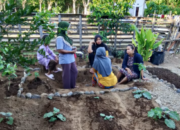 PKK Air Haji Tenggara Siap Tampil Maksimal di Lomba Kabupaten 2025