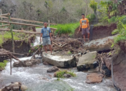 Petani di Kampung Lagan Mudik Terdampak Irigasi Rusak, Sawah Kering dan Terancam Gagal Panen