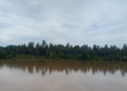 Lima Nagari di Linggo Sari Baganti Terendam Banjir, Irigasi Rusak Perparah Kondisi