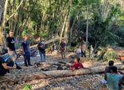 Empat Hari Hilang di Hutan Lagan Mudik, Andi Belum Ditemukan