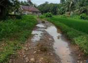 Jalan Rusak Sepanjang 2,8 Km di Nagari Lagan Mudik Punggasan, Warga Harapkan Perhatian Pemkab Pessel