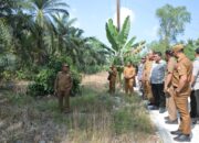 Bupati Dampingi Plt Dirjen Perkebunan Kementan RI Tinjau Lokasi Cetak Sawah di Desa Silo Bonto