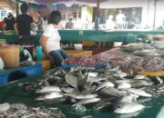 Warga Minta KKP Segera Realisasikan Pembangunan Pasar Ikan Ranai di Natuna