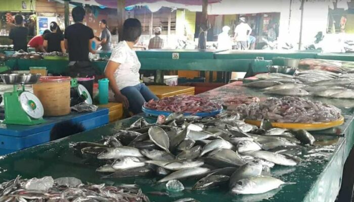 Warga Minta KKP Segera Realisasikan Pembangunan Pasar Ikan Ranai di Natuna