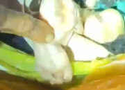 Bayi Berusia 8 Bulan di Pulau Kangean, Diduga Jadi Korban Mutilasi Ibu Kandungnya