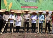 Polres Pasaman Barat Tanam Jagung Serentak Kuartal IV di Nagari Lingkuang Aua