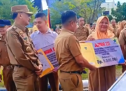 Perpustakaan Pelangi Nagari Punggasan Utara Raih Juara III Lomba Perpustakaan Nagari Terbaik Pesisir Selatan
