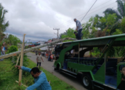 Pohon Pinang Tumbang Timpa Mobil Odong-Odong, Pemerintah Nagari Punggasan Timur Bergerak Cepat Tangani Dampak Bencana