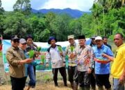 Ingin Pasaman Jadi Lumbung Pangan, Bupati Welly Suhery Luncurkan Program Layanan Bajak Gratis