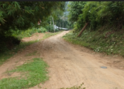 Jalan Lagan Gadang Masih Tanah, Warga Harap Pemkab dan DPRD Pessel Dapil IV Perjuangkan Peningkatan Jalan Utama Petani Karet