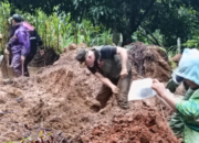 Turun ke Lapangan, Gubernur Mahyeldi Ikut Bersihkan Longsor di Jalur Malalak