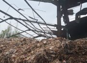 Amphibi Soroti Penghargaan Internasional untuk PT Xaviera di Tengah Protes Warga