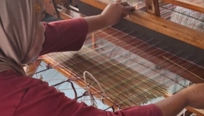 Anyaman Lidi Sawit, Jalan Warga Desa N-7 Aek Nabara Menambah Penghasilan