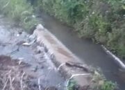 Alih-alih Mengoptimalkan Produksi Padi, Proyek Rp80,8 Juta JIT Keltan Saiyo Justru Mengancam Turunnya Produktivitas Lahan