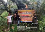 Penertiban PETI di Sumbar oleh tim terpadu di Kabupaten Pasaman Barat