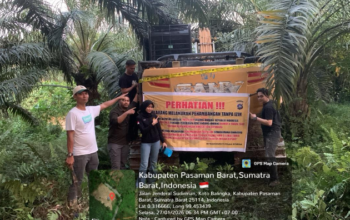 Penertiban PETI di Sumbar oleh tim terpadu di Kabupaten Pasaman Barat