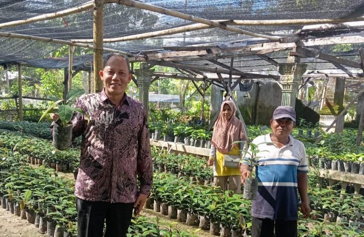 Sabar AS mengunjungi kebun pembibitan di Sicincin Padang Pariaman