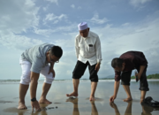 daratan baru Pantai Parkit Padang akibat sedimentasi banjir bandang