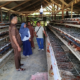 Pemnag Punggasan Timur Monitoring Usaha BUMNag Ayam Petelur