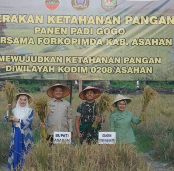 Wakil Bupati Asahan Rianto menghadiri panen raya padi gogo di lahan Kodim 0208 Asahan.