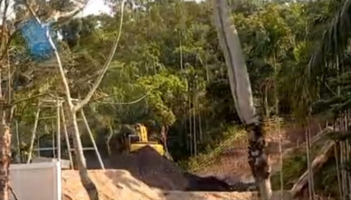 Tiga Organisasi Lingkungan Hidup Sorot Keberadaan Pertambangan Batubara Illegal di Pesisir Selatan