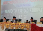 Dani Sopian saat menyampaikan pandangan pada rapat HJK Pesisir Selatan