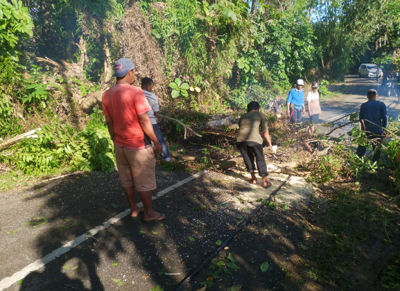 Wali nagari dan warga evakuasi pohon tumbang di Punggasan Timur