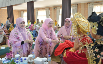 pertemuan iskada sumbar di solok selatan organisasi perempuan pkk bkow dwp