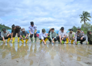 Proses rehabilitasi sawah terdampak bencana di Sumatera Barat