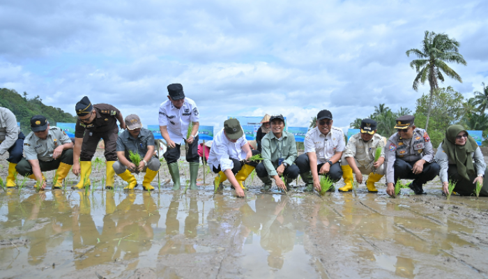 Rehabilitasi Sawah Sumbar Dipercepat, Pemprov Siapkan Langkah Strategis