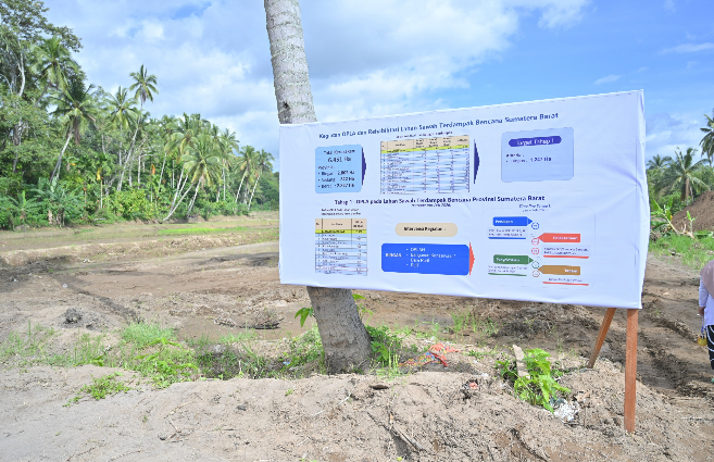 Proses rehabilitasi sawah terdampak bencana di Sumatera Barat