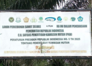 Kebun sawit sitaan Satgas PKH di Barito Utara diduga masih dipanen oknum