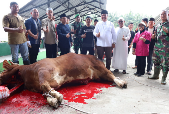 Bupati Asahan Taufik Zainal Abidin menyaksikan penyembelihan sapi bantuan Presiden RI di Masjid Al-Huda Air Batu.