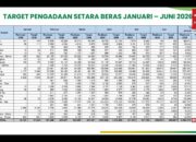 Tertinggi Sepanjang Sejarah, Cadangan Beras Pemerintah Kini Sentuh 5,37 juta Ton