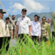 Kemendagri Apresiasi Rehabilitasi Sawah Sumbar, Capai 98 Persen Kontrak