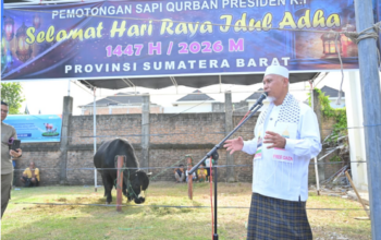 Gubernur Sumbar Mahyeldi Ansharullah menghadiri penyembelihan sapi kurban bantuan Presiden RI di Masjid Raya Syekh Khatib Al-Minangkabawi Padang.