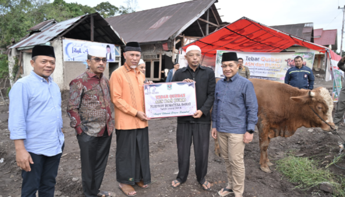 Pemprov Sumbar Salurkan 140 Sapi dan 33 Kambing Kurban Iduladha 1447 H