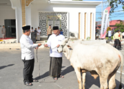 Gubernur Sumbar Mahyeldi Ansharullah menyerahkan sapi kurban kepada pengurus Masjid Baitul Auliya Kantor Gubernur Sumbar.