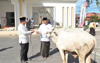 Gubernur Sumbar Mahyeldi Ansharullah menyerahkan sapi kurban kepada pengurus Masjid Baitul Auliya Kantor Gubernur Sumbar.