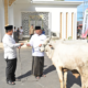 Mahyeldi Serahkan Sapi Kurban di Masjid Baitul Auliya Kantor Gubernur Sumbar