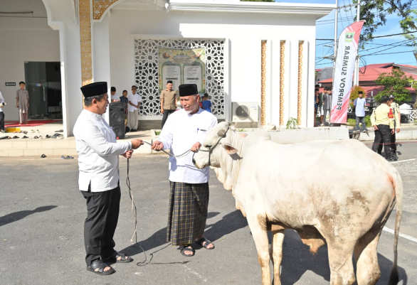 Gubernur Sumbar Mahyeldi Ansharullah menyerahkan sapi kurban kepada pengurus Masjid Baitul Auliya Kantor Gubernur Sumbar.