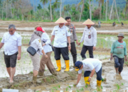 Mahyeldi Pastikan Rehabilitasi Sawah Rusak di Sumbar Tuntas 100 Persen