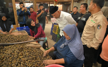 Gubernur Sumbar Mahyeldi Ansharullah meninjau proses pengolahan pinang di PT Maju Kolpin Sejahtera, Kabupaten Limapuluh Kota.