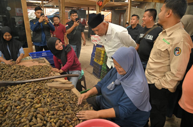 Gubernur Sumbar Mahyeldi Ansharullah meninjau proses pengolahan pinang di PT Maju Kolpin Sejahtera, Kabupaten Limapuluh Kota.