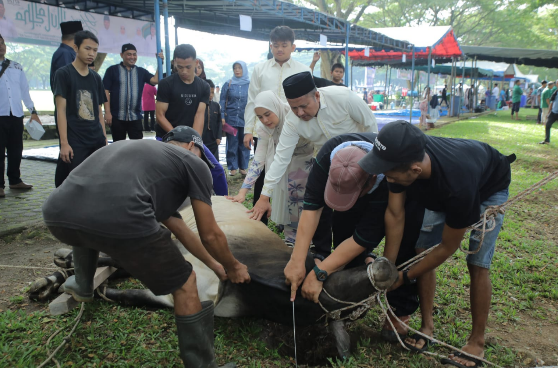 Wakil Bupati Asahan Rianto mengikuti prosesi penyembelihan hewan kurban di Alun-Alun Rambate Rata Raya Kisaran.