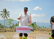 Gubernur Sumbar Mahyeldi menanam padi di Agam dalam gerakan tanam serempak